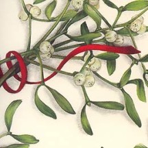 Mistletoe and Ribbons Christmas Paper ~ Tassotti Italy